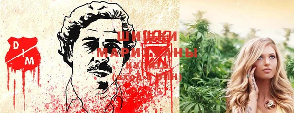 каннабис Белокуриха