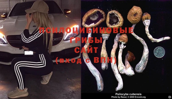 тгк Беломорск