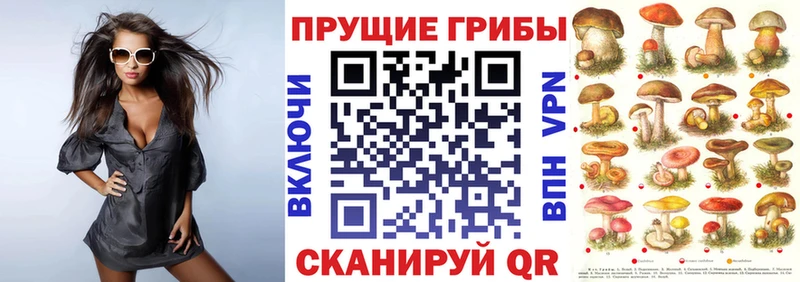 Псилоцибиновые грибы ЛСД  где продают   Заполярный 
